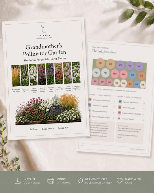 Heirloom Pollinator Garden Plan · Bee & Butterfly Border · Printable PDF · Zones 4–9