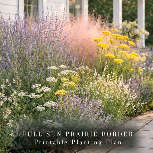 Pollinator Garden Plan · Full Sun Perennial Border · Printable PDF · Zones 4–9