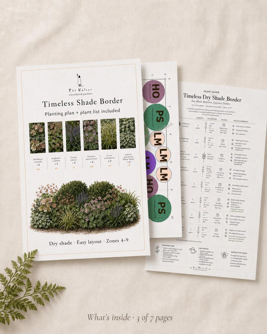 Dry Shade Garden Plan · Deer Resistant Perennial Border · Printable PDF · Zones 4–9