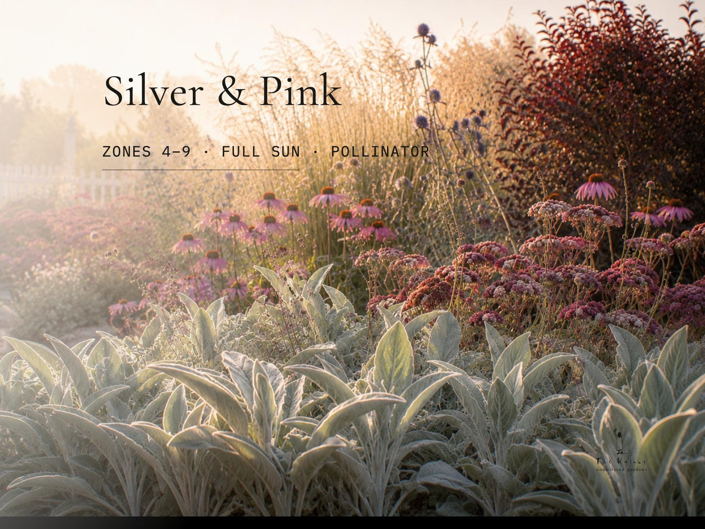 Silver & Pink