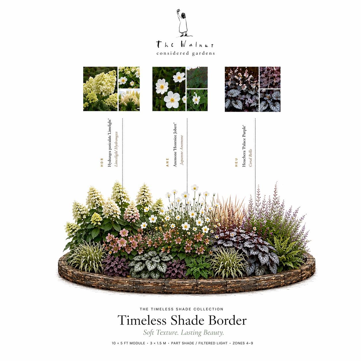 Under Tree Garden Plan — Shade Garden Ideas · Printable PDF · Zones 4–9