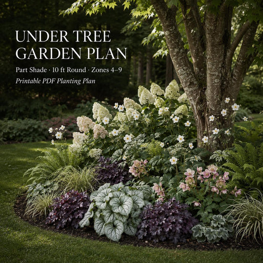 Under Tree Garden Plan — Shade Garden Ideas · Printable PDF · Zones 4–9