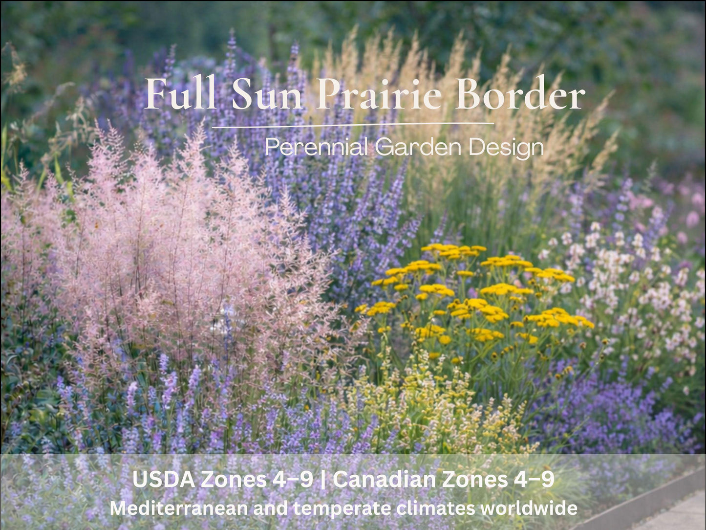 Pollinator Garden Plan · Full Sun Perennial Border · Printable PDF · Zones 4–9