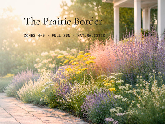 Pollinator Garden Plan · Full Sun Perennial Border · Printable PDF · Zones 4–9