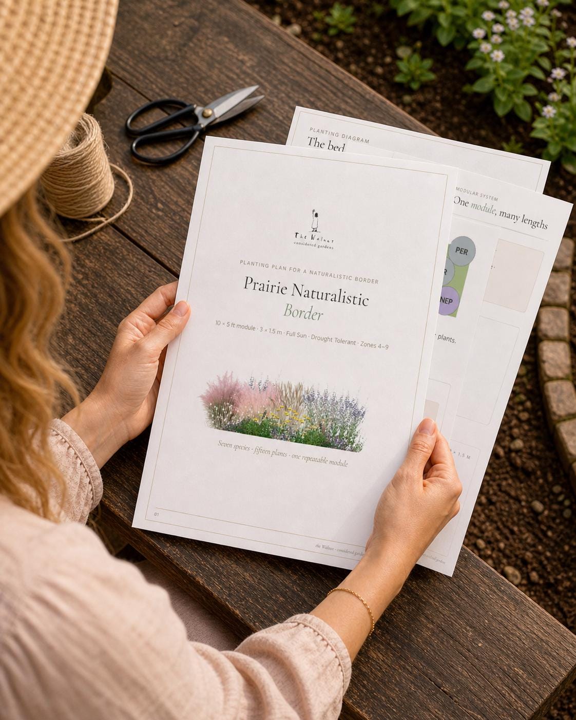 Pollinator Garden Plan · Full Sun Perennial Border · Printable PDF · Zones 4–9