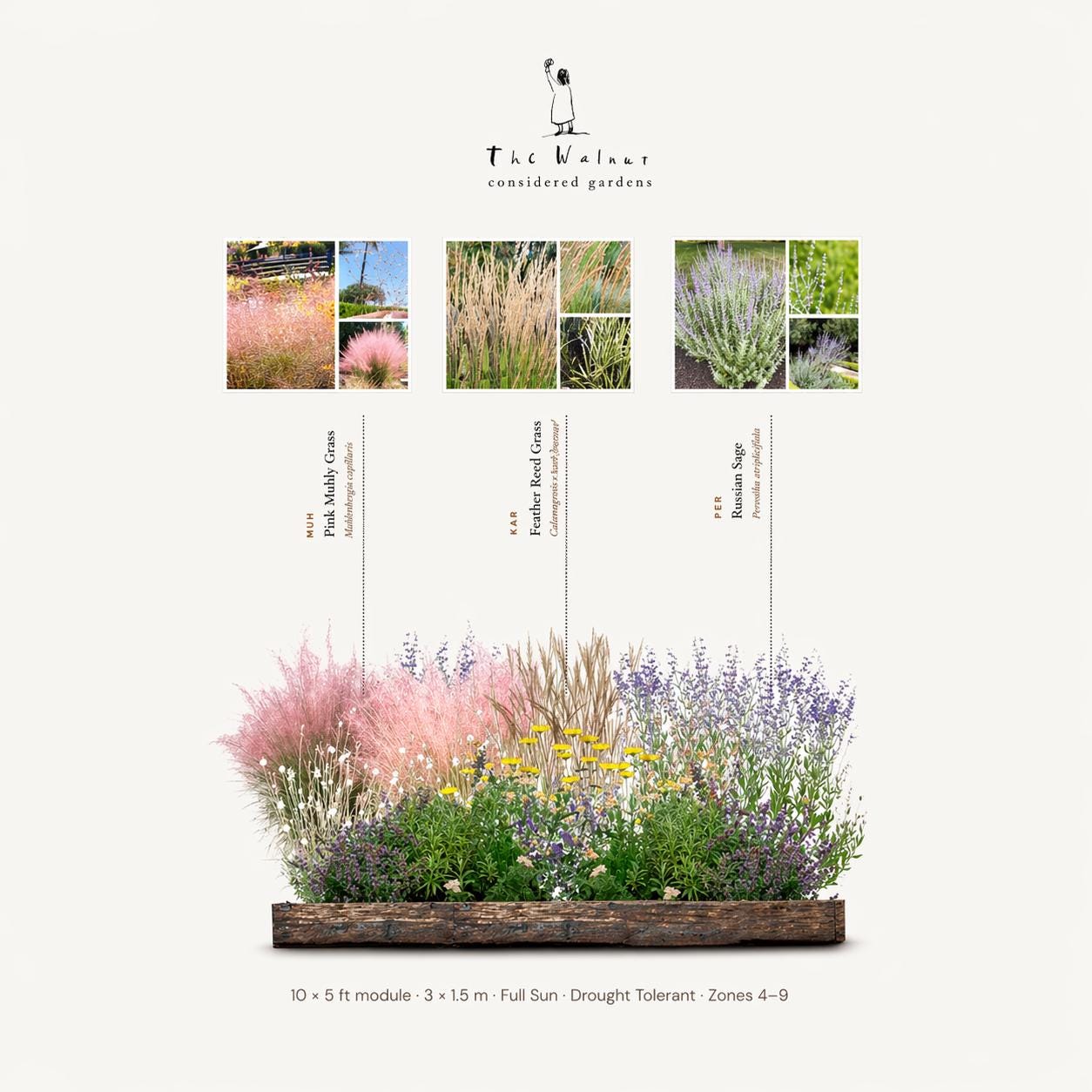 Pollinator Garden Plan · Full Sun Perennial Border · Printable PDF · Zones 4–9