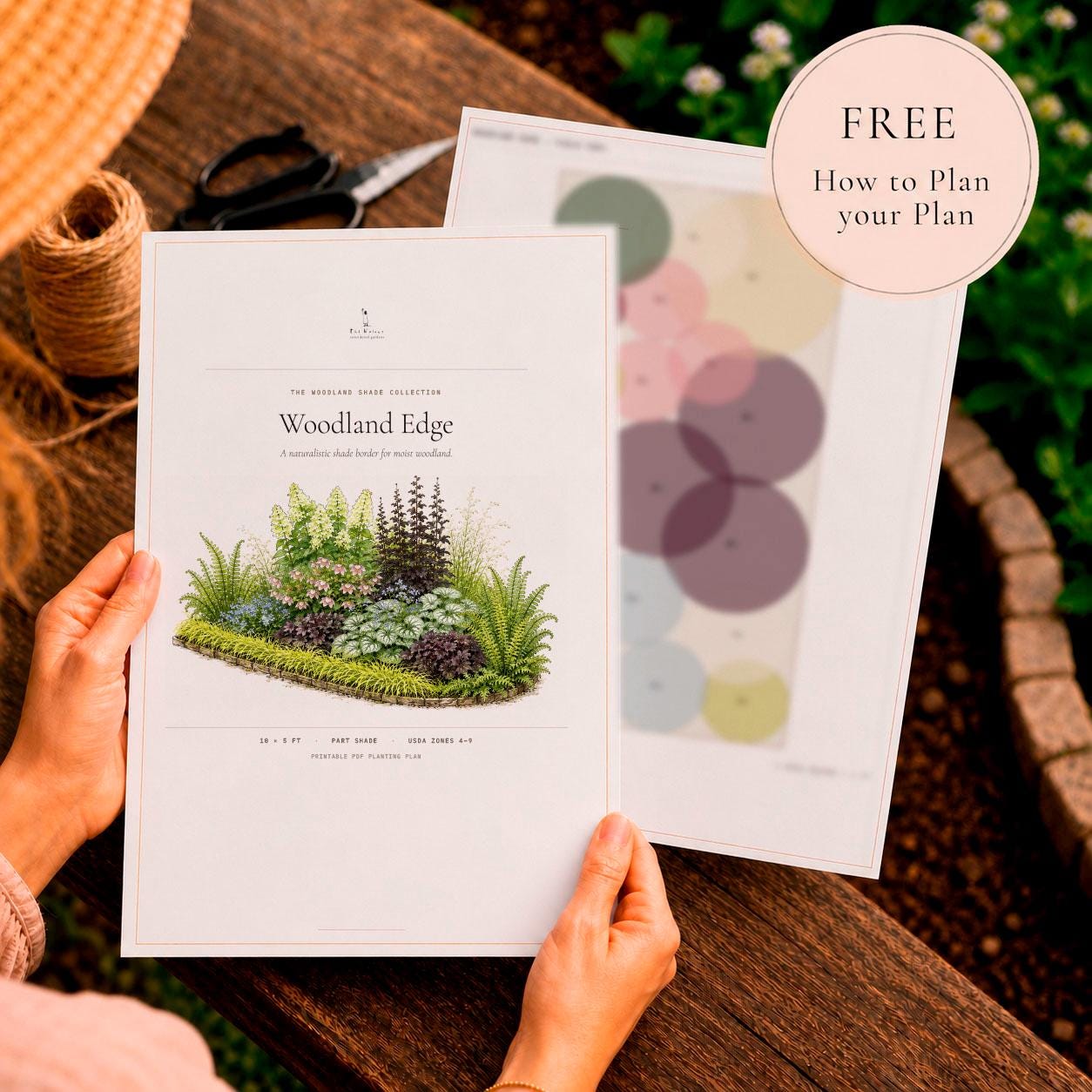Part Shade Garden Plan - Woodland Border Design- Low Maintenance Perennials- Zones 4–9 PDF
