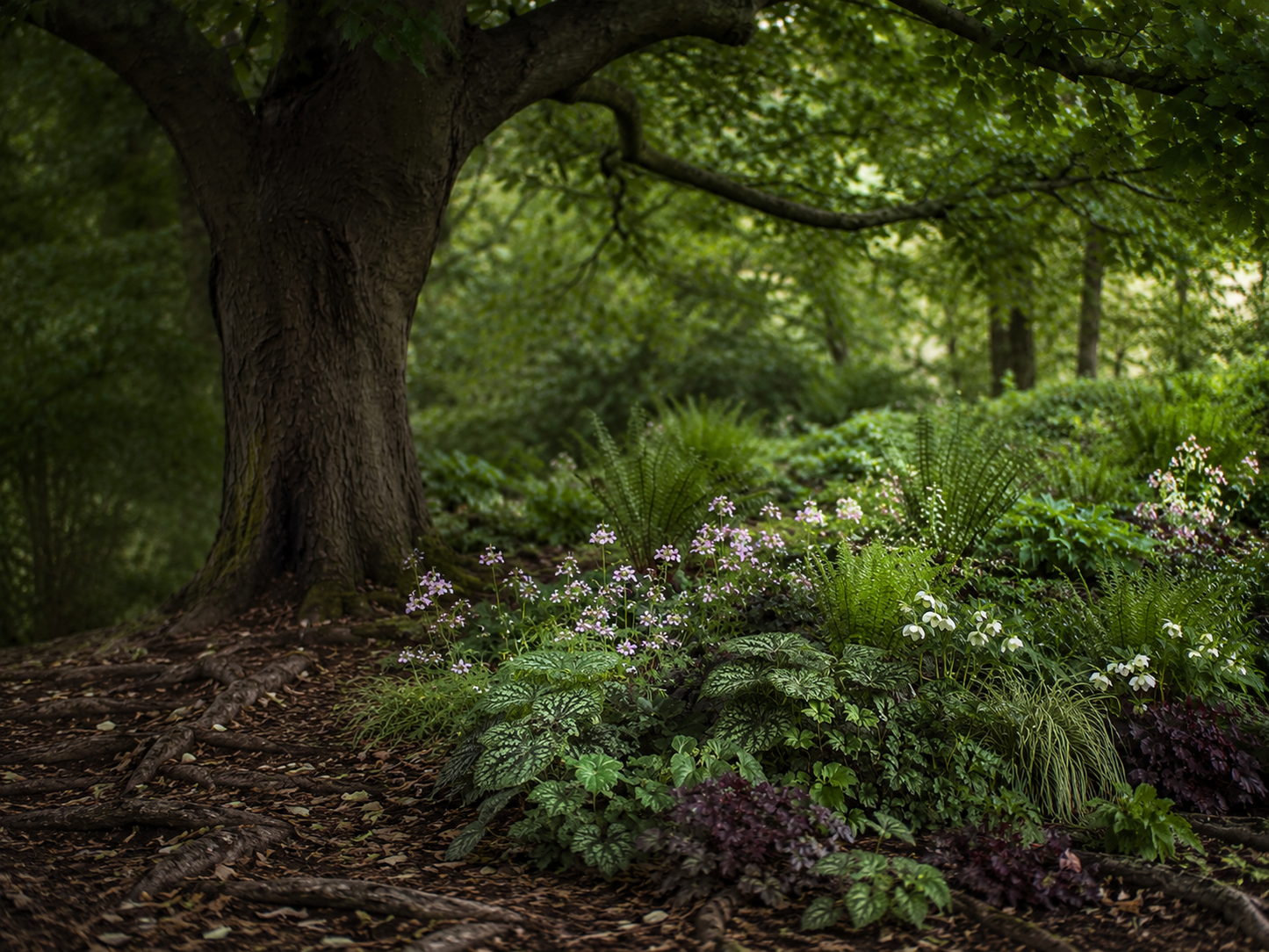 The Dry Shade Border | Deer Resistant Plan for Under Trees | Printable PDF | Zones 4–9