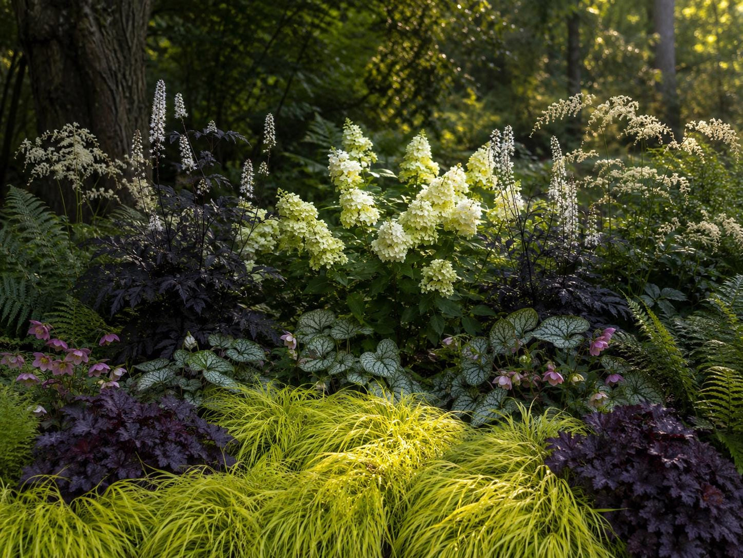 Part Shade Garden Plan - Woodland Border Design- Low Maintenance Perennials- Zones 4–9 PDF