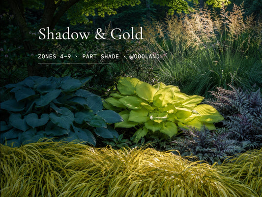 Shadow and Gold · Moist Shade Border Plan · Shade Garden Ideas · Printable PDF