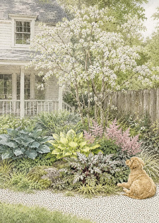 Shadow and Gold · Moist Shade Border Plan · Shade Garden Ideas · Printable PDF