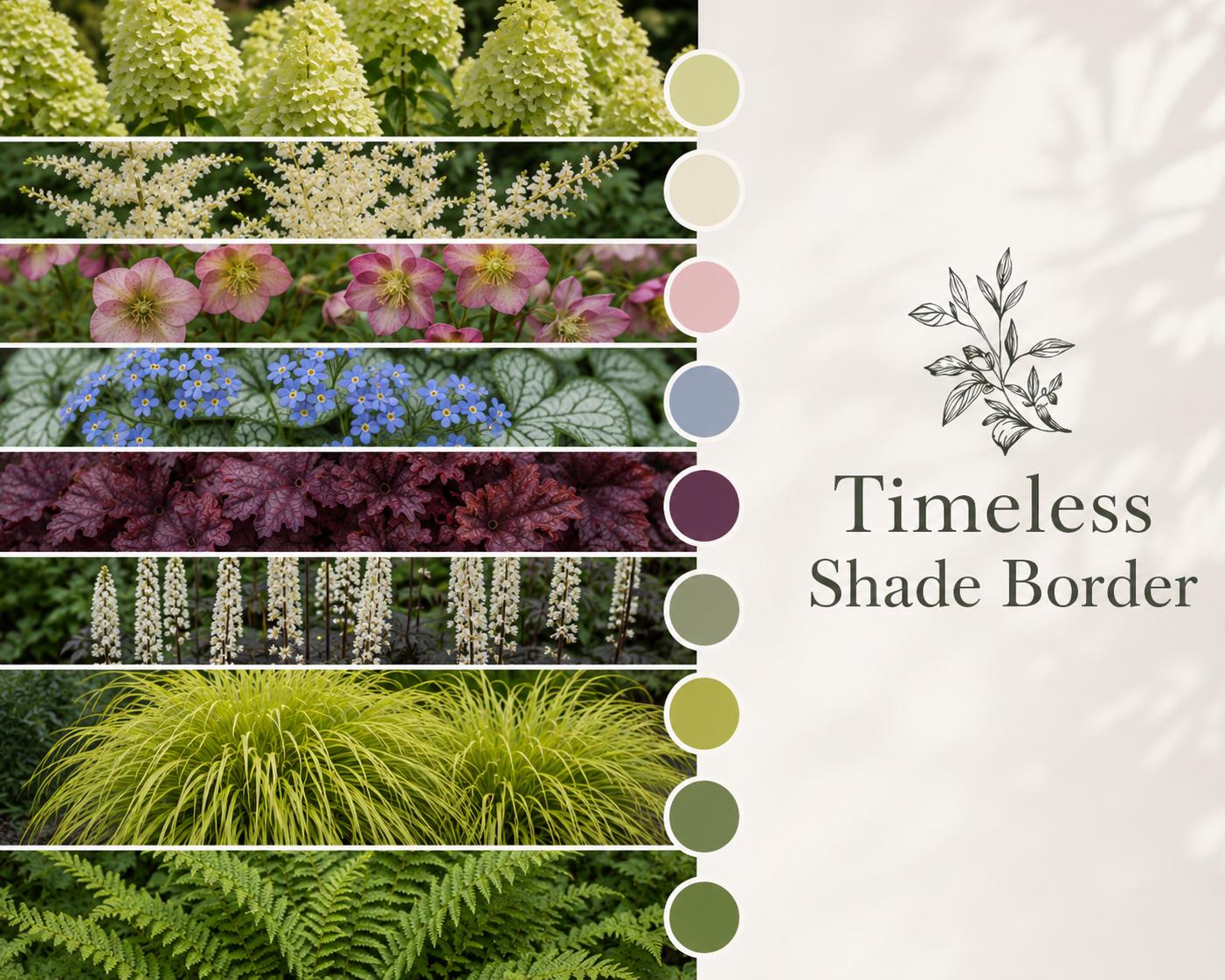 Part Shade Garden Plan - Woodland Border Design- Low Maintenance Perennials- Zones 4–9 PDF