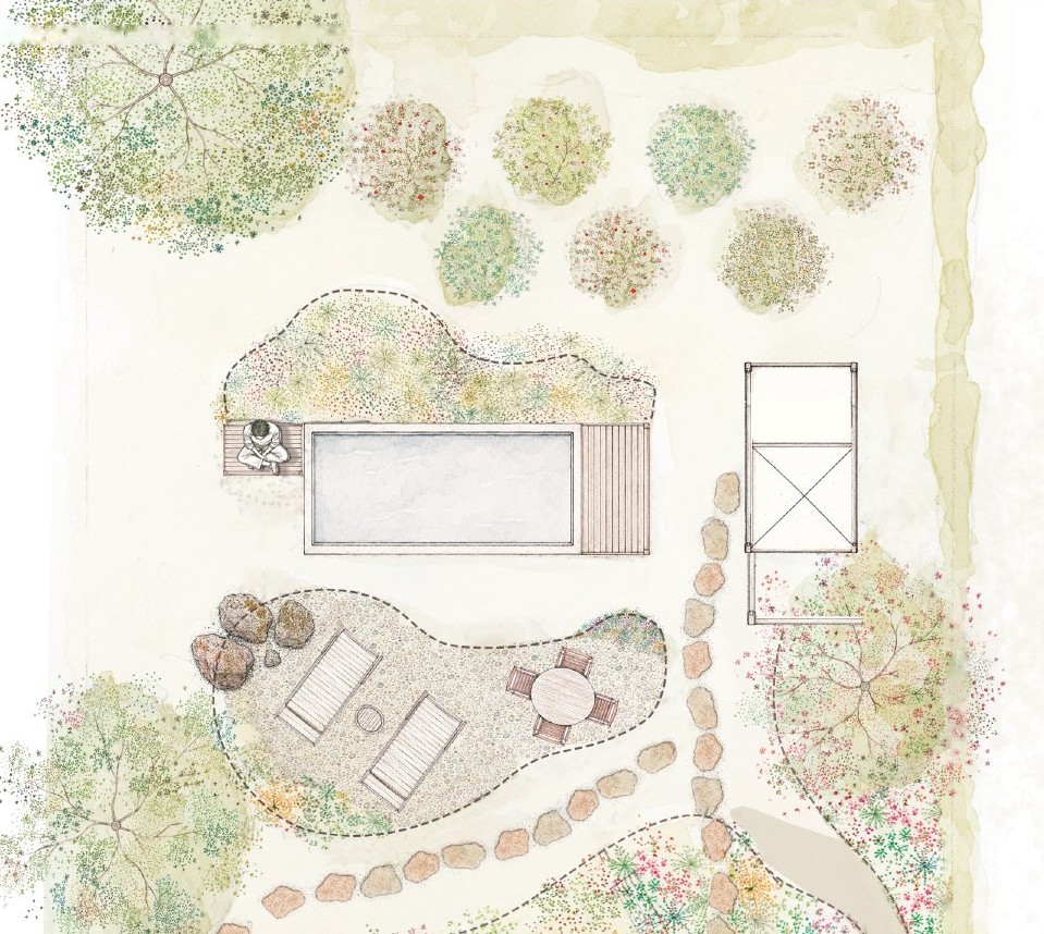 Part of a hand-painted planting plan around a pool: each plant drawn in its own watercolour mark