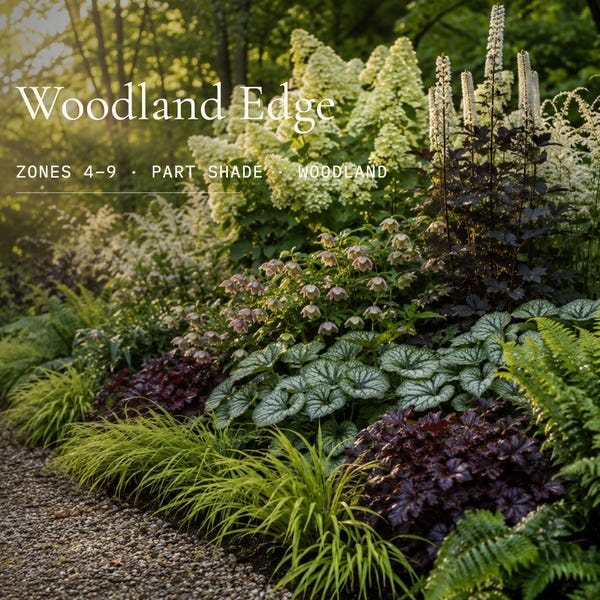 Cover of the plan: Woodland Edge